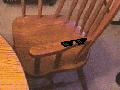 Seat's taken