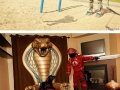 Lives of heroes & villains