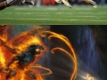 Battle cat photoshop