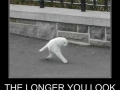 The longer you look
