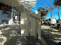 Skateboarding Cat