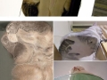Cats vs glass