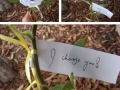 I Choose You <3
