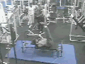 He can almost taste gains