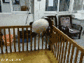 So close..