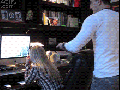 Hair prank