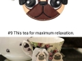 Gifts for the pug lovers