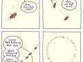 Why ants aren't in charge