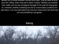 Hybrid animals