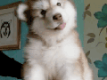 Sooo cute