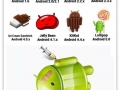 Android versions