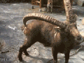 So thats what they're for