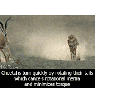 Stabilized cheetah