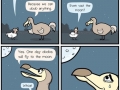 Dodos didn't go extinct
