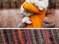 Fluffy cats