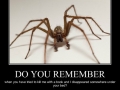 Do you remember?