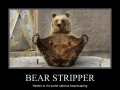 Bear stripper