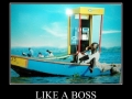 Like a boss