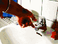 Stop motion