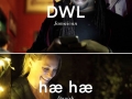 Laughing around the world