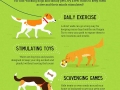 How do dogs sleep?