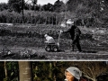 Inseparable woman & cat