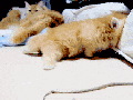 Struggling to get comfy