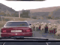 Guess the country