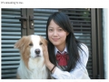 Read this about dogs