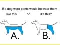 Tough question