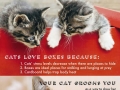 Facts about cats pt.2