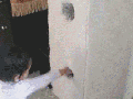 Surprise attack