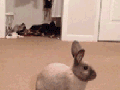 Surprise motherf**ker