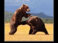Punch