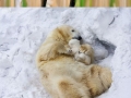 Cute parenting moments