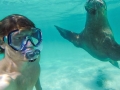 Animal selfies