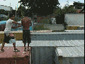 Just trust