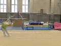 The Bullet Flip