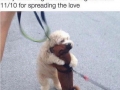 Cuteness level infinity