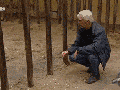 Cutest prison break