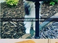 Cat logic