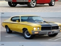 Muscle cars