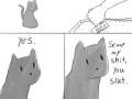Cats are jerks