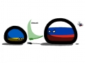 Fly swatting