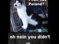 Hitler seen by internetters