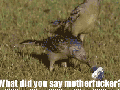 What did you say?