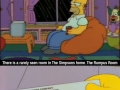 Simpsons facts