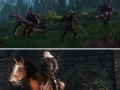 Witcher 3 screenshots