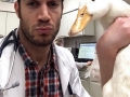 Hottest animal doctor
