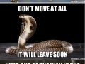 Can't avoid close combat?
